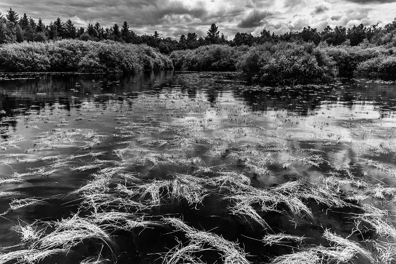 2020_06_07_Settons (0006).jpg - Lac des Settons (Juin 2020)